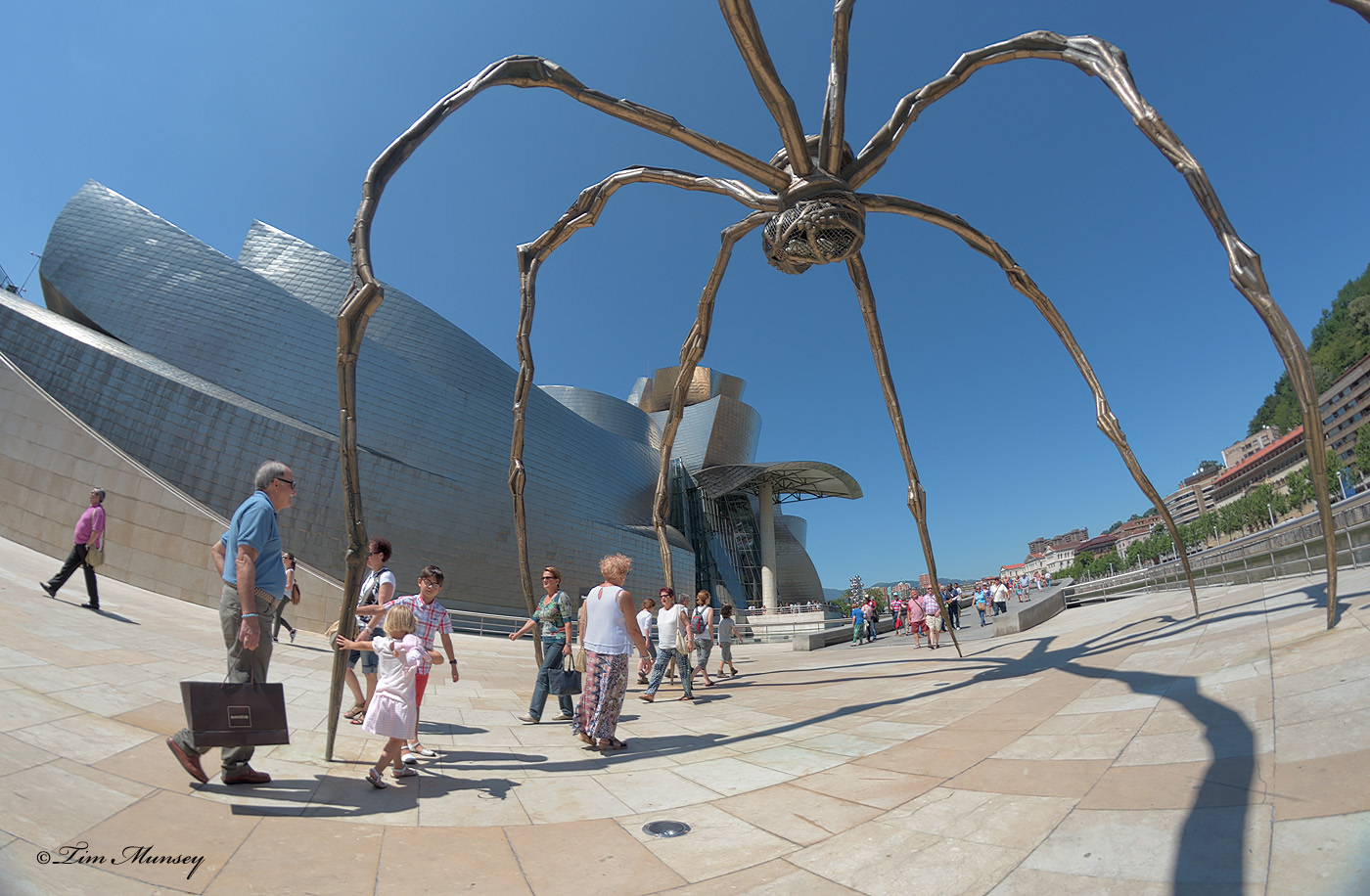 Spider of Bilbao